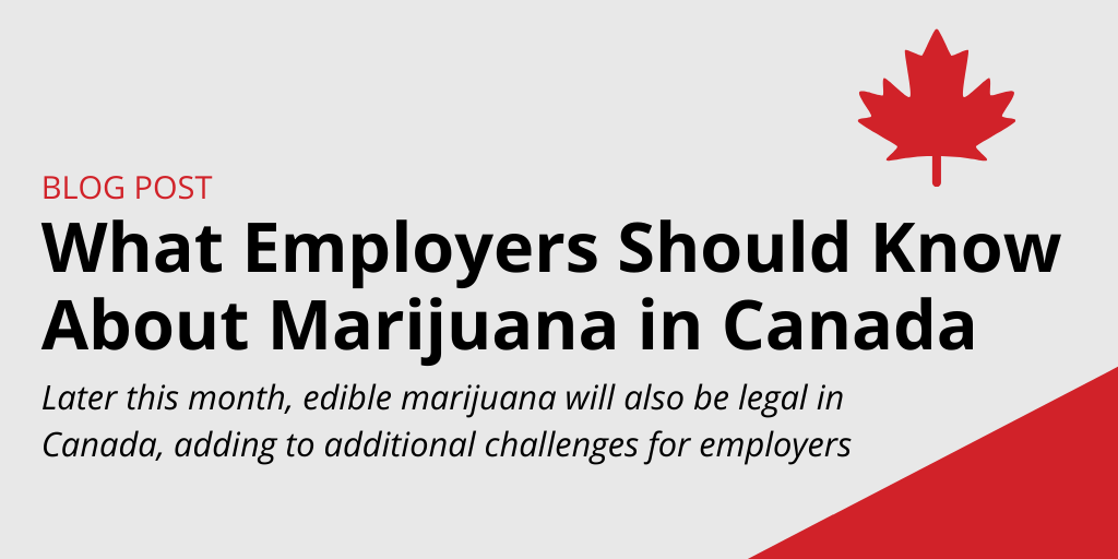 What Employers Should Know About Marijuana in Canada