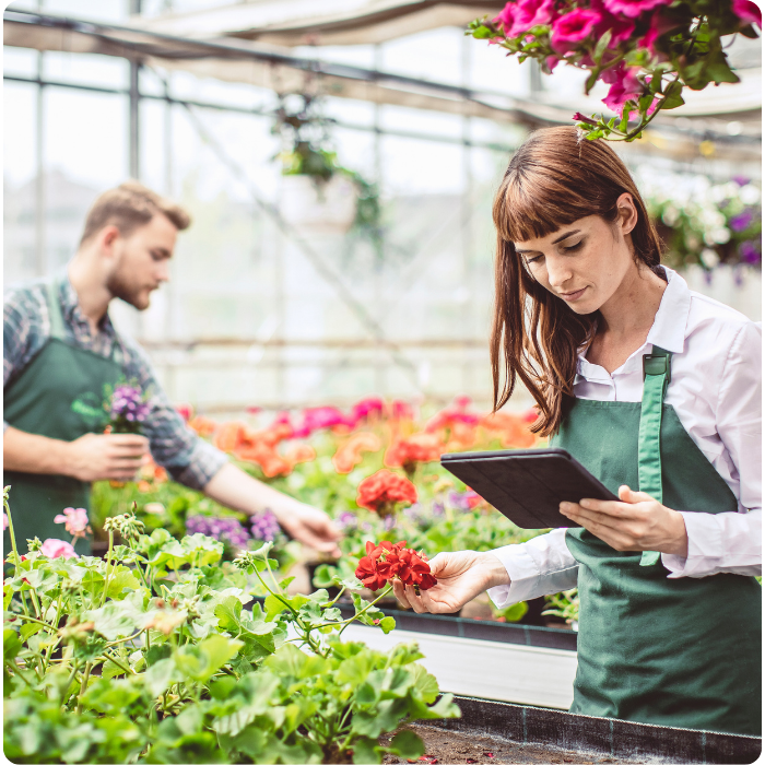 Are Seasonal Employees Eligible for Paid Leave?